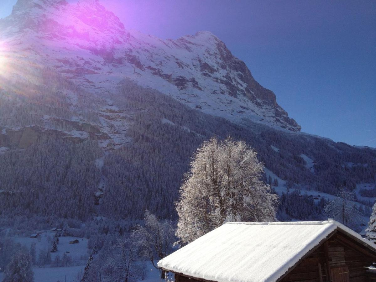 Apartment Chalet Baergsunna-3 By Interhome Grindelwald Exterior foto